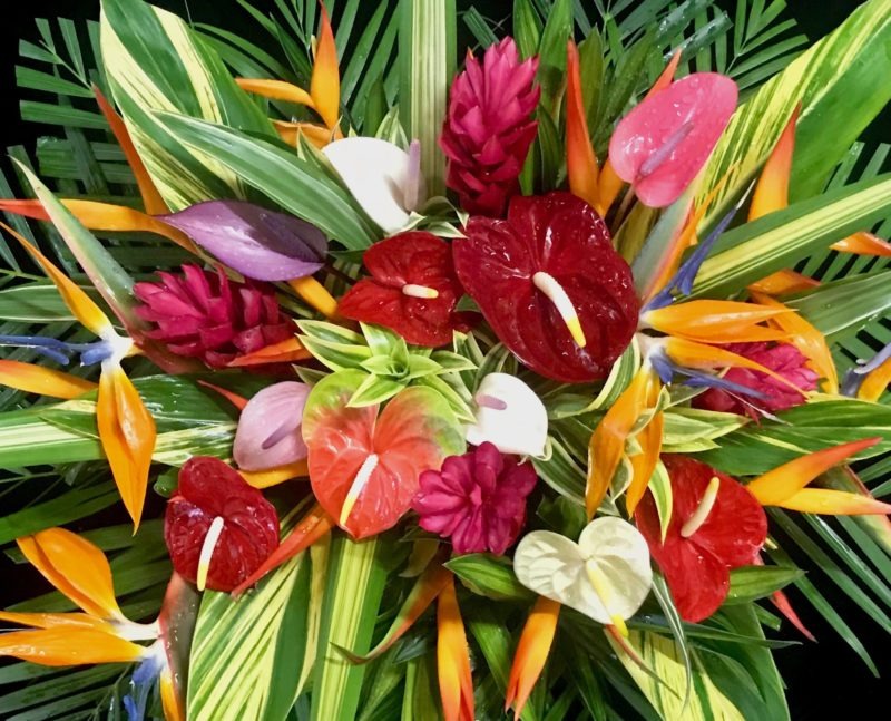 Puna Kamalii Flowers, Inc – Tropical Flowers from Hawaii